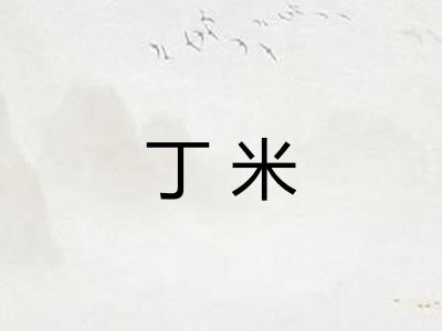 丁米
