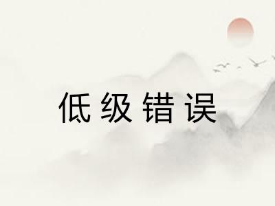 低级错误