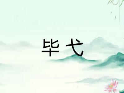 毕弋