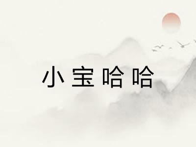 小宝哈哈 小宝哈哈