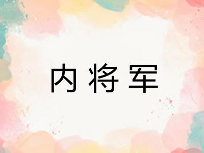 内将军