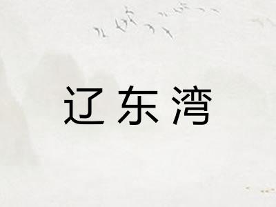 辽东湾 辽东湾