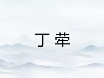 丁荦