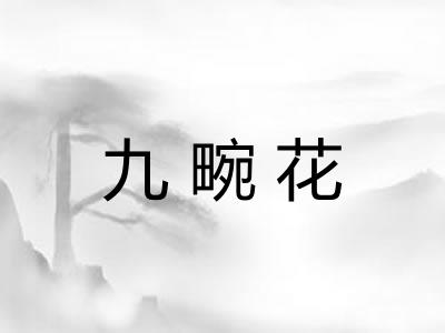九畹花 九畹花