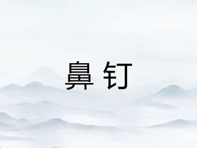 鼻钉
