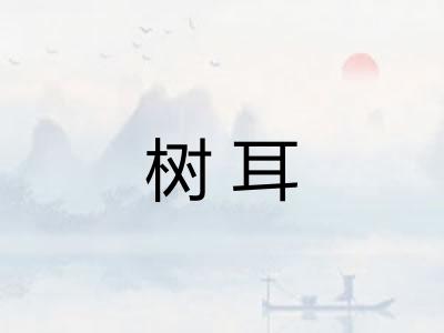 树耳