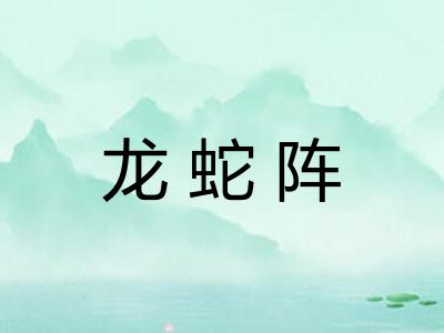 龙蛇阵