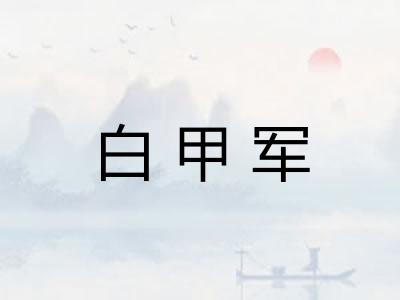 白甲军 白甲军