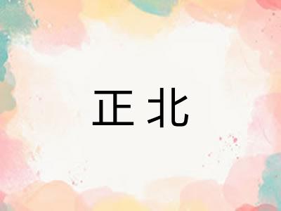正北