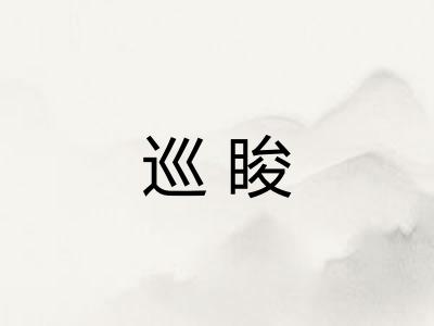巡睃