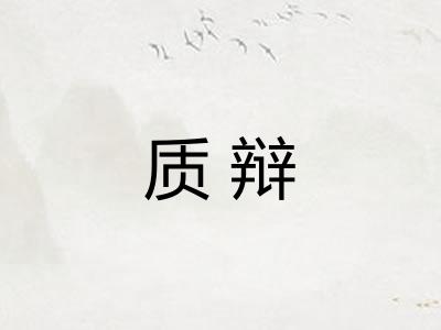 质辩