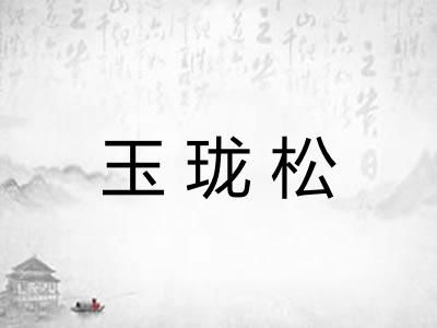 玉珑松