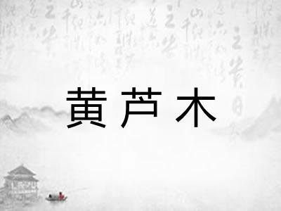 黄芦木 黄芦木