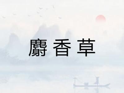 麝香草