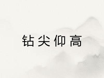 钻尖仰高