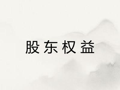 股东权益 股东权益