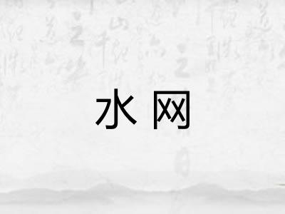 水网