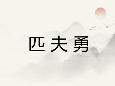 匹夫勇 匹夫勇