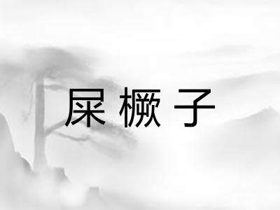 屎橛子