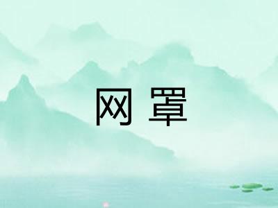 网罩