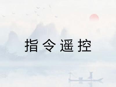 指令遥控