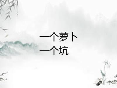 一个萝卜一个坑