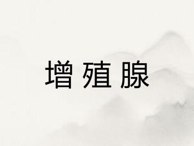 增殖腺