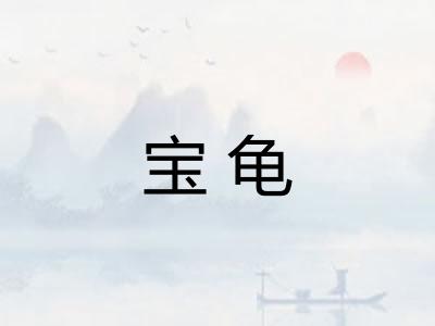 宝龟