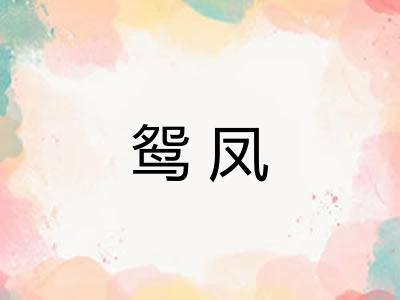 鸳凤