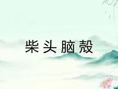 柴头脑殻