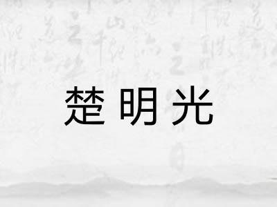 楚明光