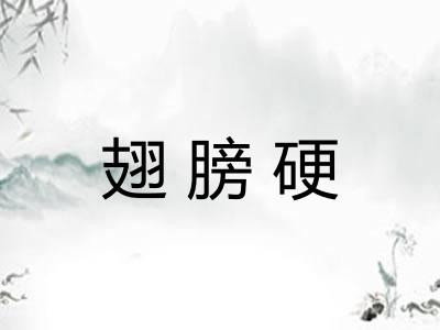 翅膀硬