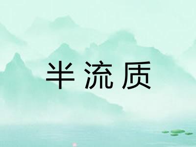 半流质 半流质