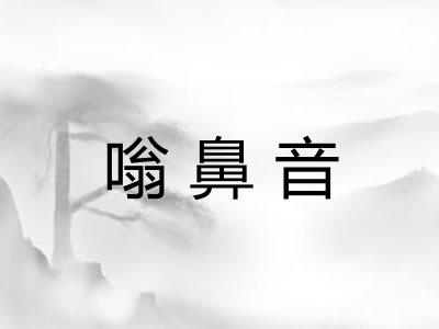 嗡鼻音 嗡鼻音