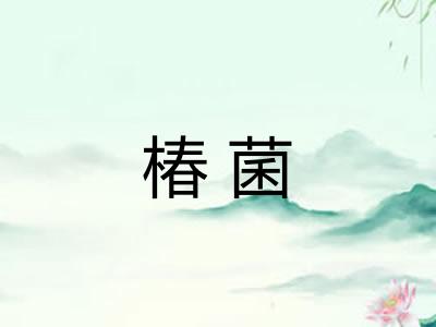 椿菌 椿菌