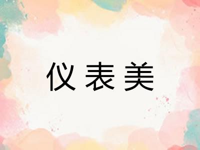 仪表美