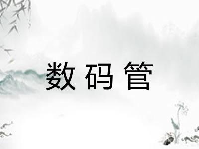 数码管 数码管