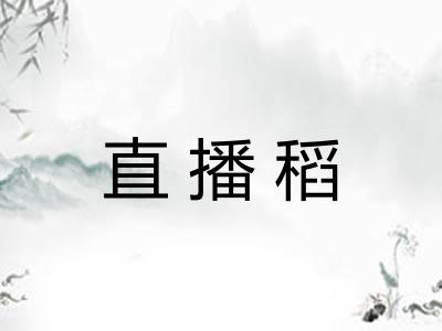 直播稻
