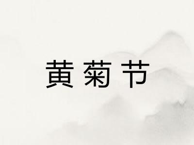 黄菊节