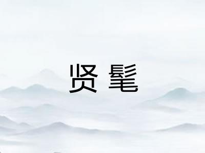 贤髦