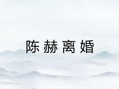 陈赫离婚