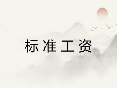 标准工资 标准工资