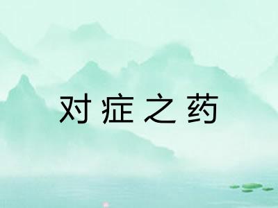 对症之药