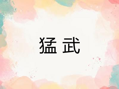 猛武