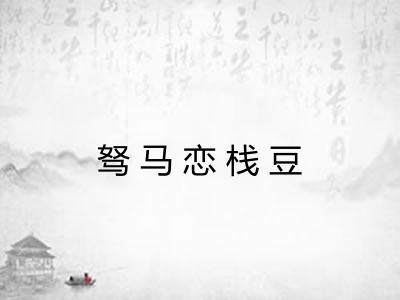 驽马恋栈豆
