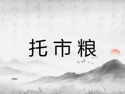 托市粮