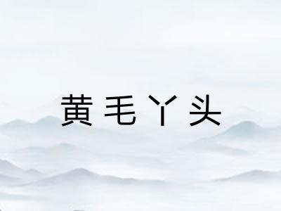 黄毛丫头