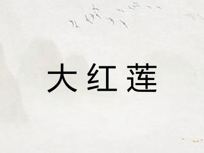 大红莲