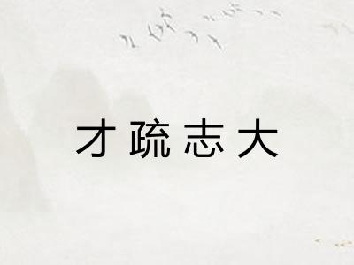 才疏志大