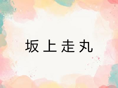 坂上走丸